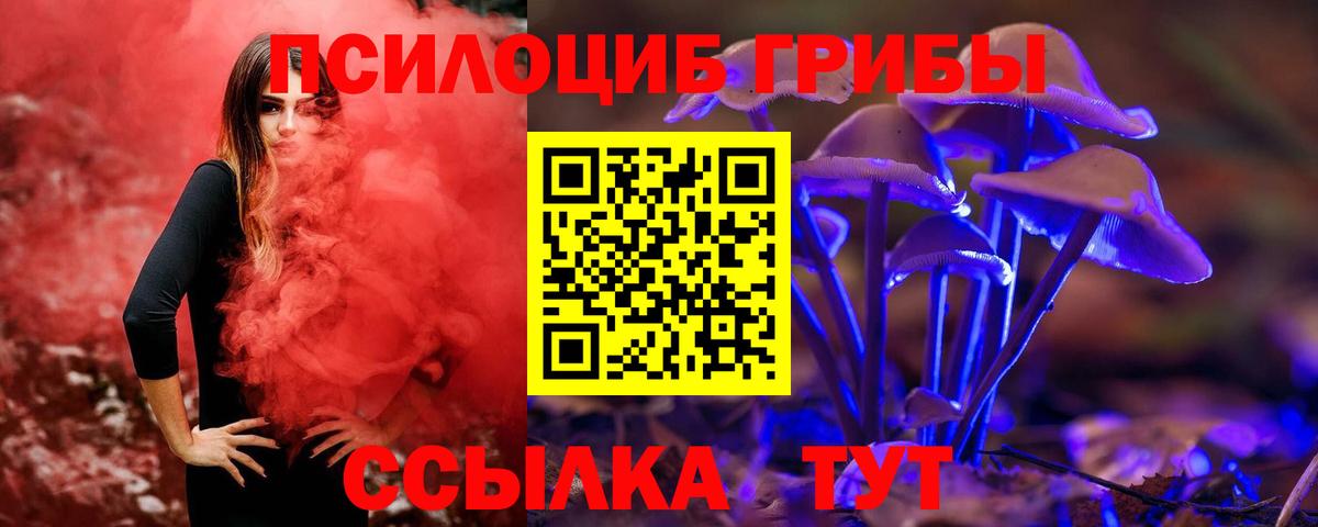 Псилоцибиновые грибы Cubensis Нарткала