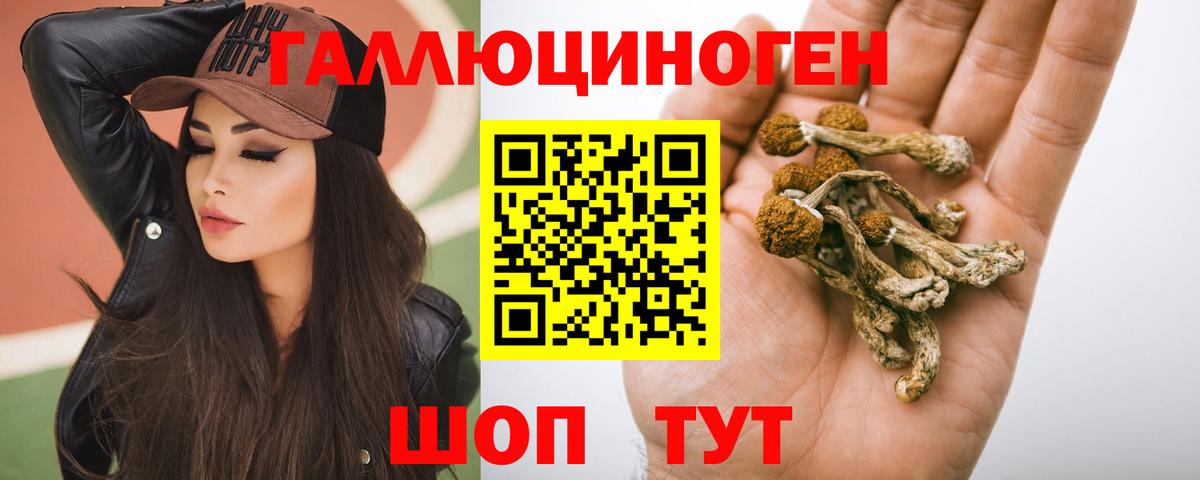 Псилоцибиновые грибы Cubensis  Вход с VPN  Нарткала 